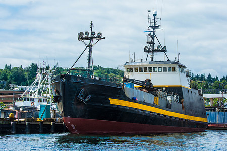 渔人码头摄影照片_螃蟹/招标，勇敢在渔人码头，西雅图