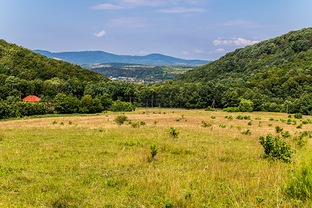 Transcarpathian 村庄附近两座树木繁茂的山脉之间的一片绿色草地