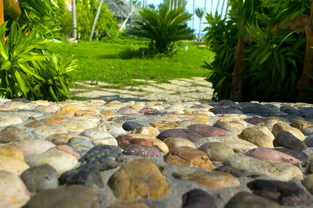 阳光下花园中海石的石人行道