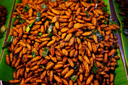油炸蚕蛹，著名的泰国街头美食食谱。
