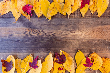 木板上有彩色叶子的秋天背景