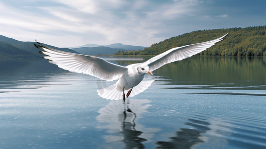 白色小鸟摄影照片_白天在水面上飞行的白色小鸟