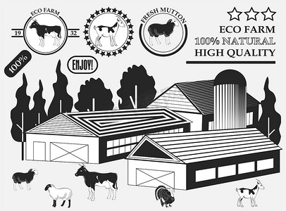 农场上的一套优质牛、山羊、羊肉、火鸡、牛肉标签、徽章和设计元素。