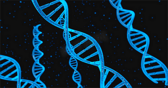 人类 DNA 系统 3D 说明下的蓝色 DNA 结构和细胞