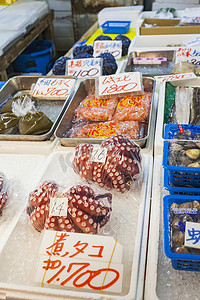 日本东京筑地鱼市的红色活章鱼