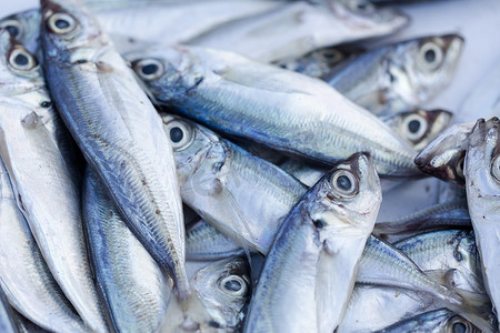 摩洛哥市场上的鲜鱼和其他海鲜准备就绪