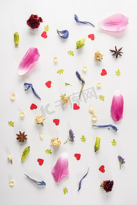 各干各的摄影照片_春天作文的顶视图，上面有各种花、茴香星和白色的心