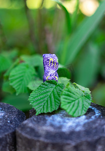 坐在一根混凝土杆上的紫巧克力复活节兔子躲在树叶后面。