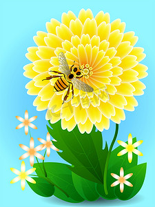 可爱蜂蜜摄影照片_黄花上的蜜蜂采集蜂蜜和花粉。