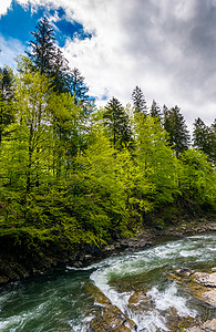 原始森林摄影照片_强大的山河和悬崖上的森林