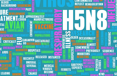 H5N8