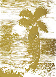 矢量热带夏季插画与棕榈