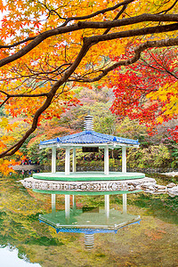 Naejangsan 国家公园在秋天，韩国