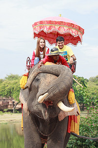 AYUTHAYA THAILAND-SEPTEMBER 6: 骑在大象背上的游客