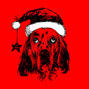 手绘戴着圣诞老人帽子的狗