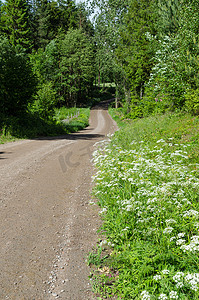 夏季森林小路摄影照片_夏季美丽的乡间小路