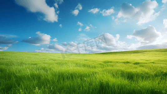 天下字体摄影照片_白天蓝天下的绿草地