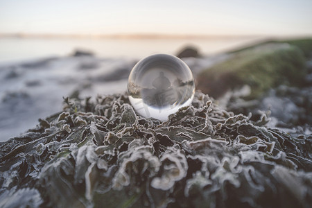 圆球树叶摄影照片_自然界中的水晶球，有一个人的轮廓