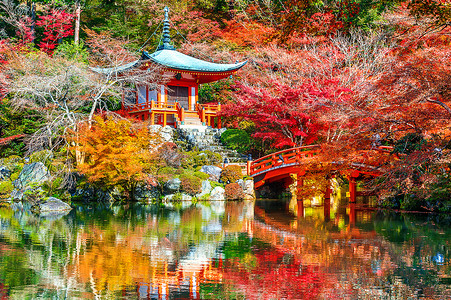 红色中国风彩带飘带装饰摄影照片_秋天，京都的 Daigoji 寺。