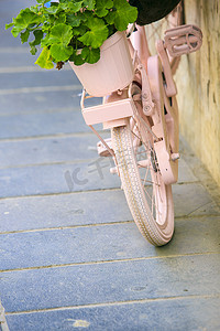 花篮设计摄影照片_带花篮的老式粉红色自行车