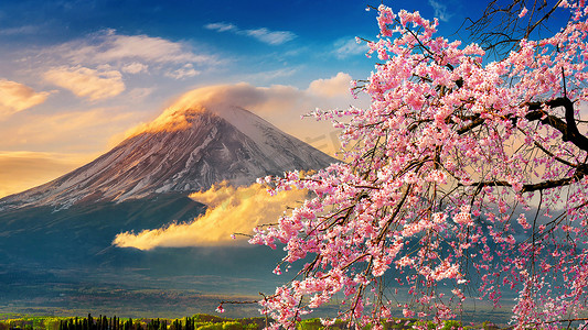 日本的樱花摄影照片_日本春天的富士山和樱花。