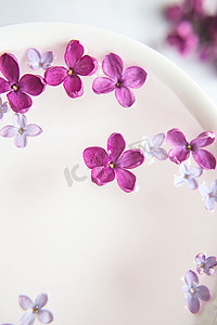 五点淡紫色花在淡紫色花中在杯子里用水。