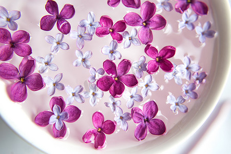 好运花摄影照片_五点淡紫色花在淡紫色花中在杯子里用水。