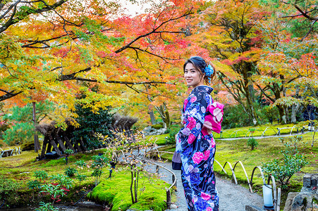 在秋季公园穿着日本传统和服的亚洲女性。