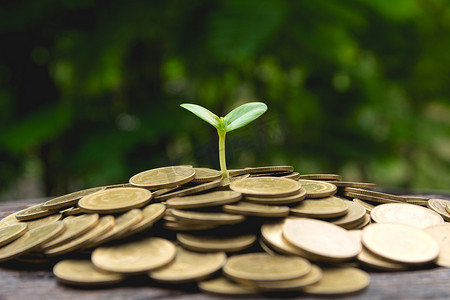 用一堆硬币和绿色植物为企业省钱，