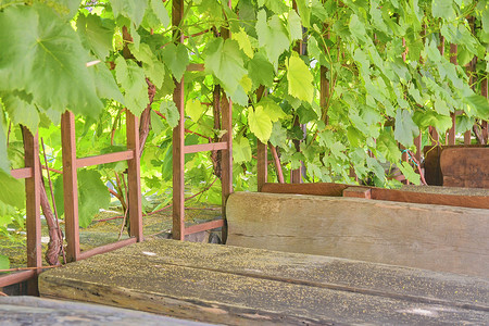 葡萄酒背景和长凳。