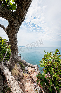 Laem Sing 山风景点的树枝和海洋景观