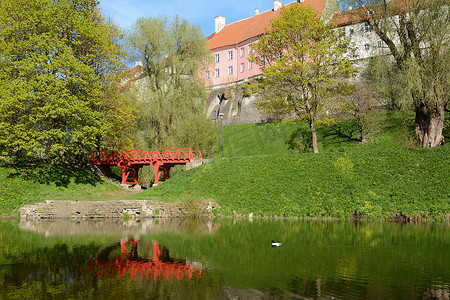 爱沙尼亚塔林 Snelli Tiik 池塘旁的红色人行桥