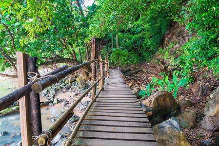 泰国丛林中的一条空荡荡的木路，靠近海边