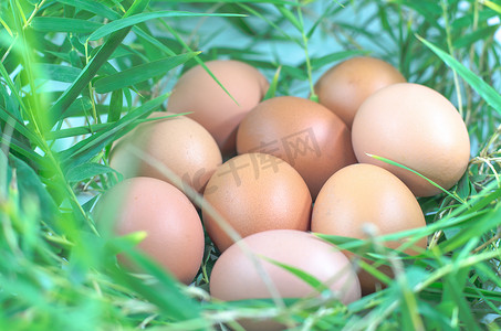 竹叶上的鸡蛋