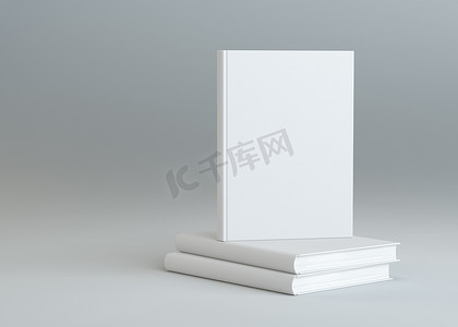 单本书籍摄影照片_两本书上的空白立式书架