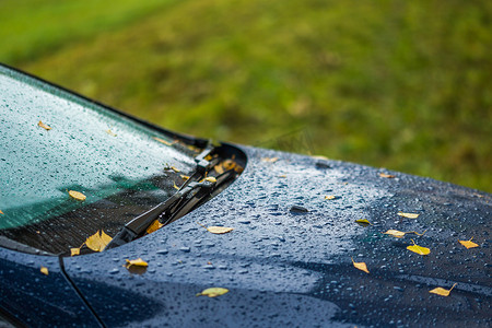 深蓝色汇报摄影照片_秋雨天深蓝色汽车，橙色桦叶 — 选择性聚焦，特写模糊