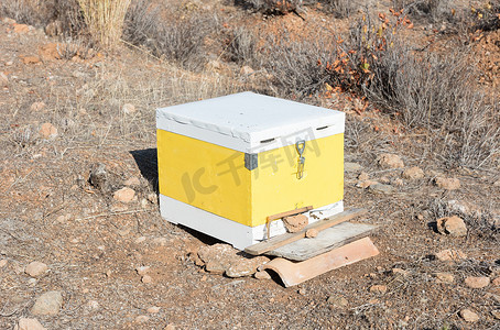 蜂箱与蜜蜂在希腊