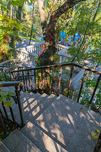 空间延伸摄影照片_陡峭的楼梯在树木之间向下延伸至观景台