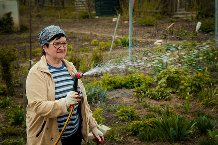 洒水的人摄影照片_园艺和人的概念 — 快乐的老年女性在夏天用花园软管浇灌草坪