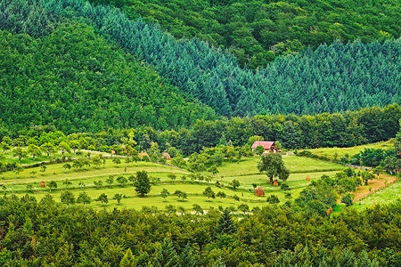 农业摄影照片_罗马尼亚的农业领域
