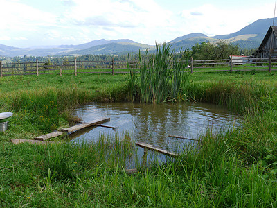 一座乡村房屋内的迷你池塘，周围环绕着木篱笆。