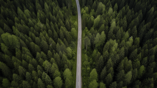 俯瞰森林摄影照片_俯瞰森林中央的道路