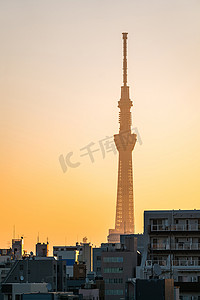 日本晴空塔摄影照片_东京晴空塔日出上野