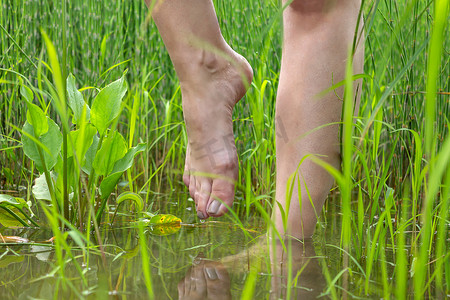 在水中修脚的女孩脚，周围环绕着茂密的植被
