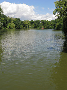 一个大池塘的泥泞绿色水域，岸边长着茂密的树木，绿叶茂盛，蓝天上有大片云彩。
