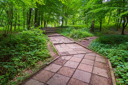 公园内的一条小路，两旁铺着方形瓷砖，在绿草如茵的草丛和稀有树木的灌木丛中奔跑。
