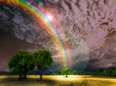 模糊上帝保佑公园里的彩虹黑暗和天空树