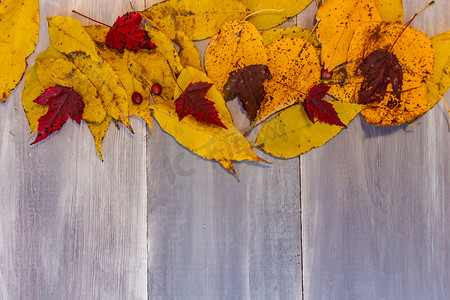 木板上有彩色叶子的秋天背景