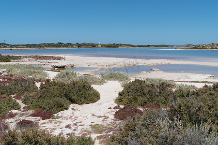 盐湖，罗特尼斯岛，西澳大利亚