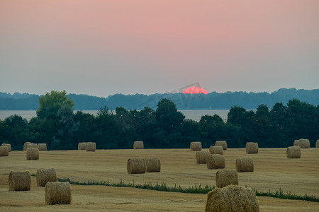 红太阳日出摄影照片_红太阳的可见边缘位于一棵树后面，背景是田野里收获和晒干的干草。